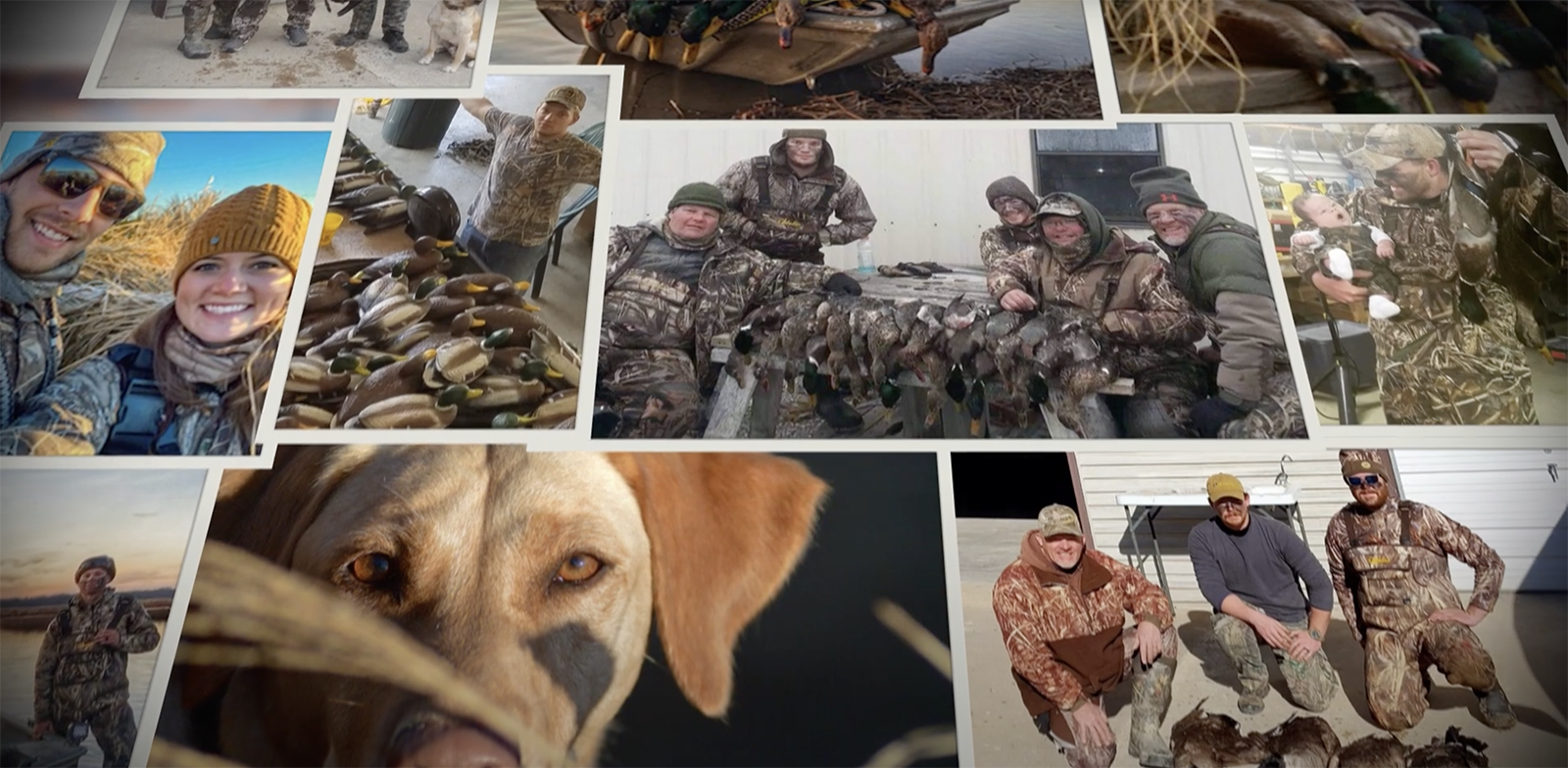 duck hunting dog and catch